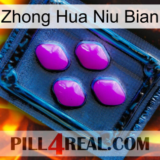 Zhong Hua Niu Bian 04